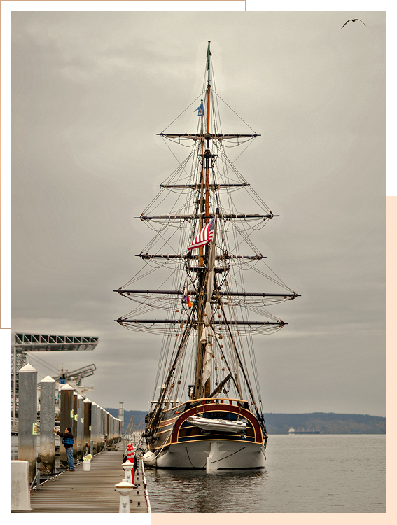 A tall ship with multiple masts is docked at a pier under a cloudy sky, with a person standing nearby and a seagull flying above.