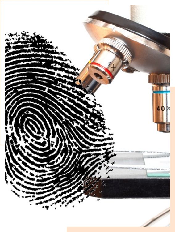 A fingerprint is positioned under a microscope lens, suggesting analysis or examination of forensic evidence.